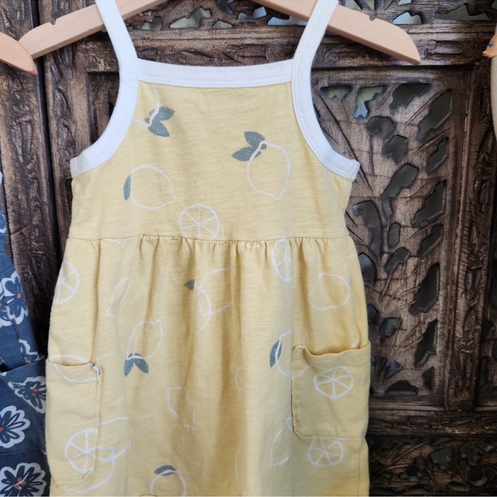 Littleco toddler girl floral and lemon print dresses size 3t - Picture 3 of 4